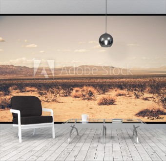 Picture of Southern California Desert